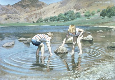 Blea Tarn Summer by John Cooke